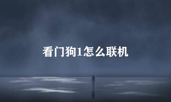 看门狗1怎么联机