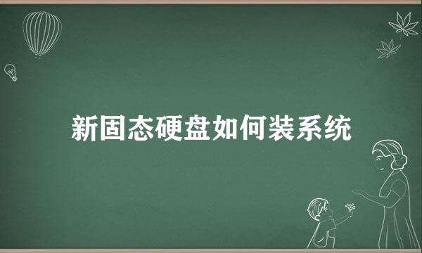 新固态硬盘如何装系统