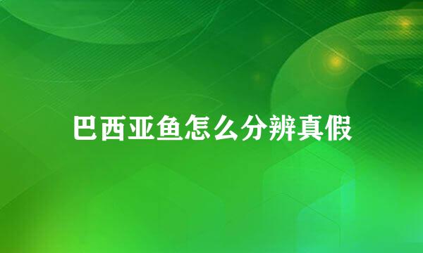 巴西亚鱼怎么分辨真假