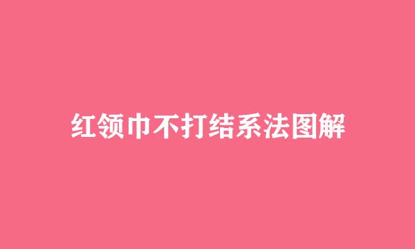 红领巾不打结系法图解