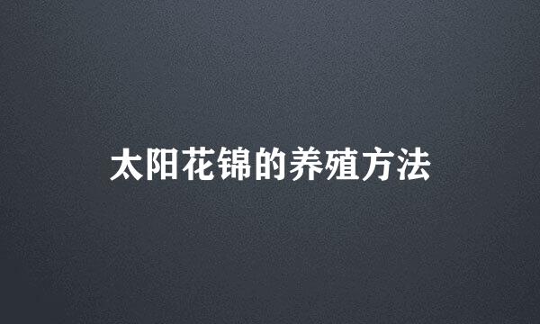 太阳花锦的养殖方法