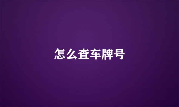 怎么查车牌号