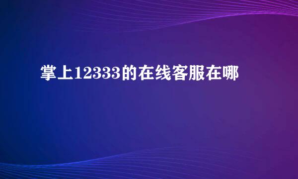 掌上12333的在线客服在哪