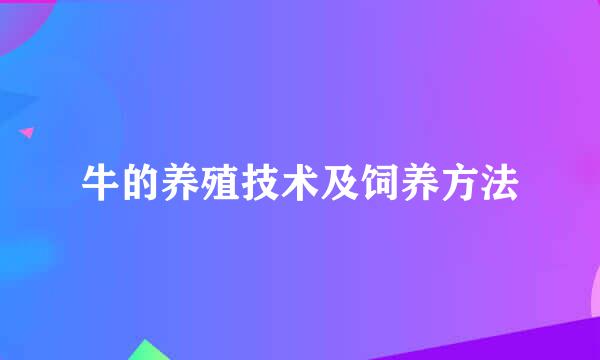 牛的养殖技术及饲养方法