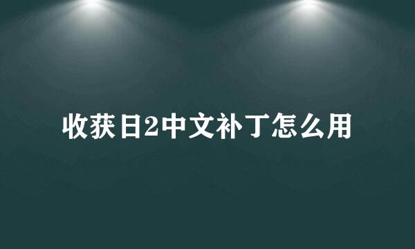 收获日2中文补丁怎么用
