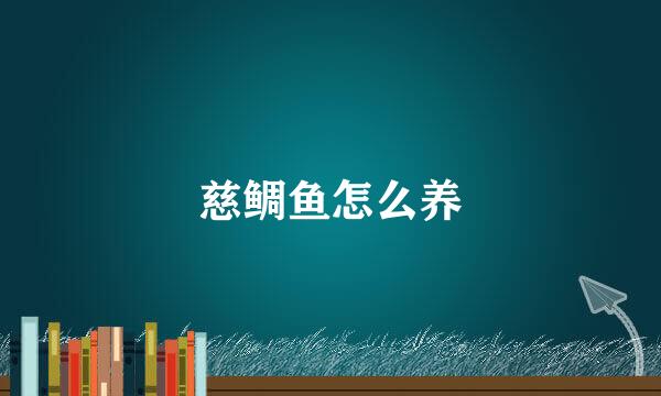 慈鲷鱼怎么养