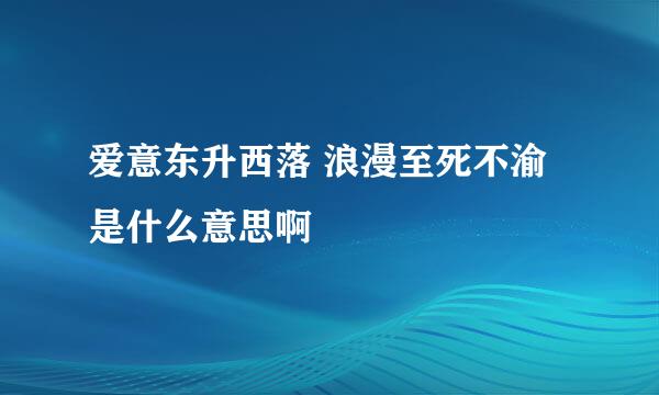爱意东升西落 浪漫至死不渝是什么意思啊
