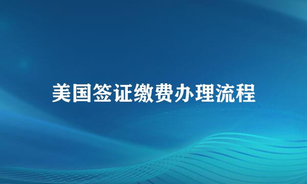 美国签证缴费办理流程