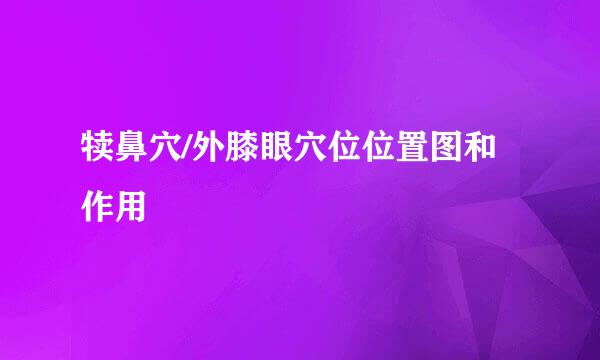 犊鼻穴/外膝眼穴位位置图和作用