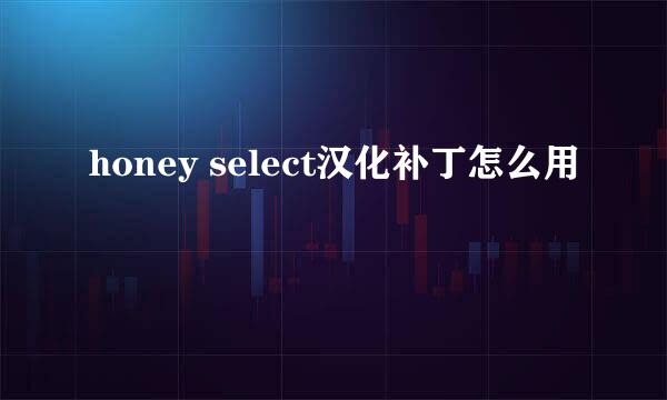 honey select汉化补丁怎么用