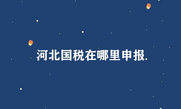 河北国税在哪里申报