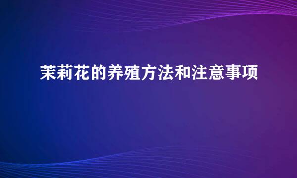 茉莉花的养殖方法和注意事项