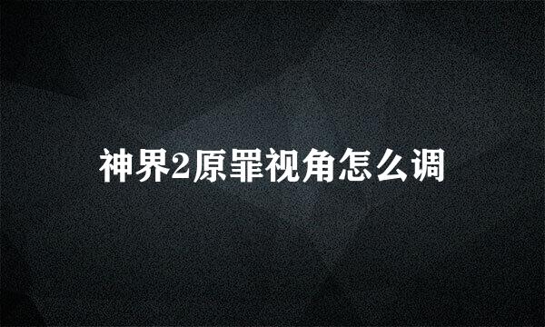 神界2原罪视角怎么调