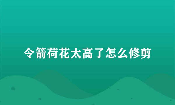 令箭荷花太高了怎么修剪