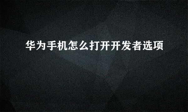 华为手机怎么打开开发者选项