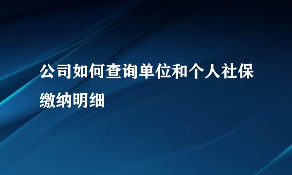 公司如何查询单位和个人社保缴纳明细