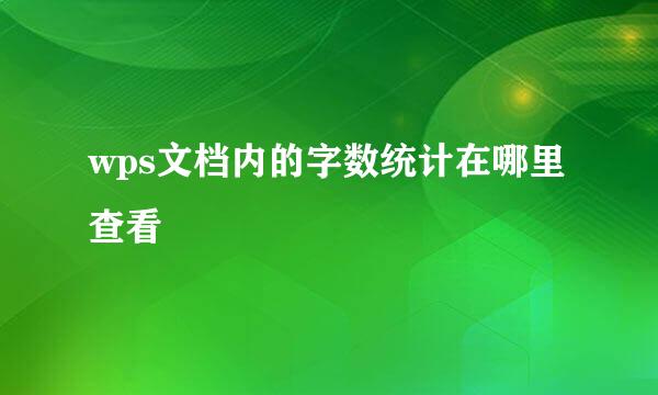 wps文档内的字数统计在哪里查看