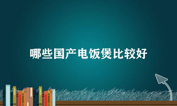 哪些国产电饭煲比较好