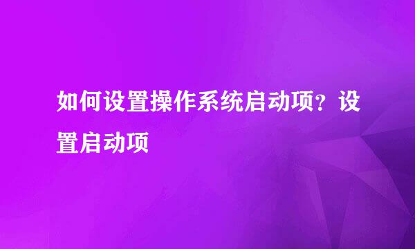 如何设置操作系统启动项？设置启动项