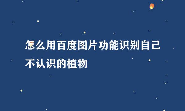 怎么用百度图片功能识别自己不认识的植物
