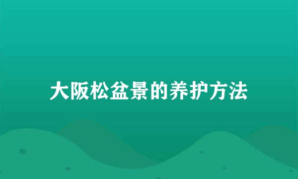 大阪松盆景的养护方法