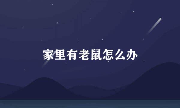 家里有老鼠怎么办