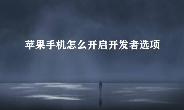 苹果手机怎么开启开发者选项
