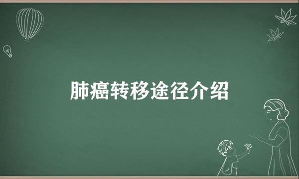肺癌转移途径介绍