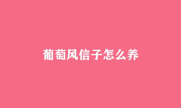 葡萄风信子怎么养