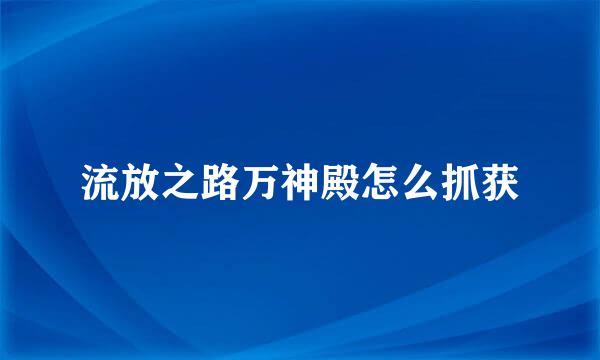 流放之路万神殿怎么抓获