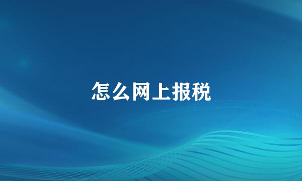 怎么网上报税