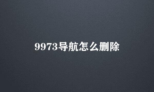 9973导航怎么删除