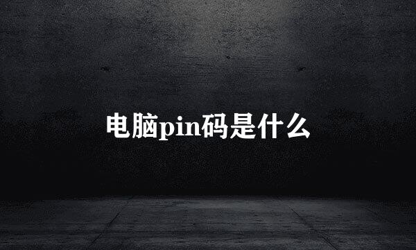 电脑pin码是什么