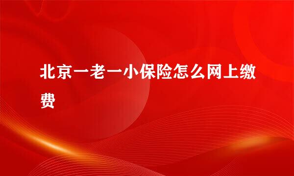 北京一老一小保险怎么网上缴费