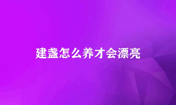 建盏怎么养才会漂亮