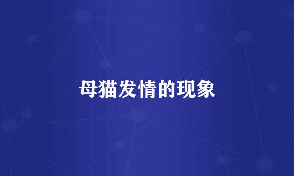 母猫发情的现象
