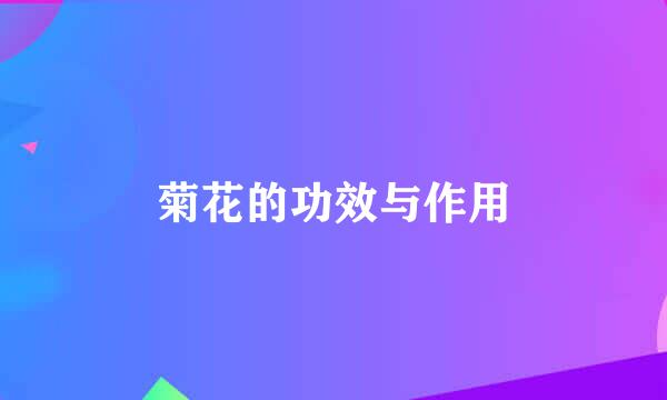 菊花的功效与作用