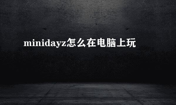 minidayz怎么在电脑上玩