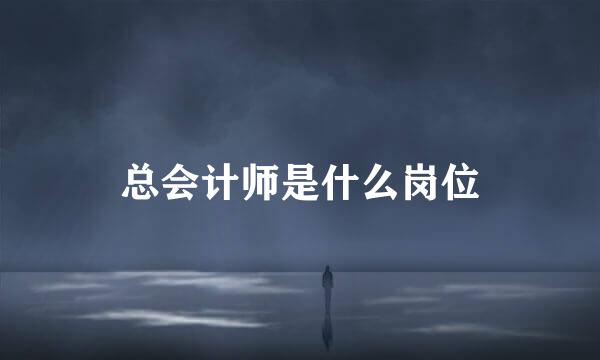 总会计师是什么岗位