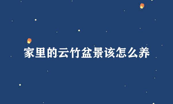 家里的云竹盆景该怎么养