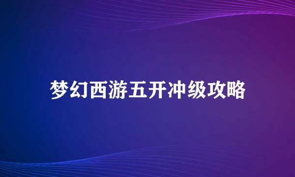 梦幻西游五开冲级攻略
