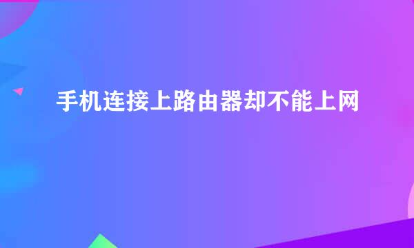 手机连接上路由器却不能上网