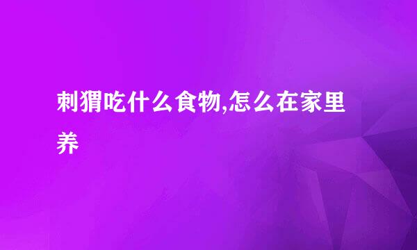刺猬吃什么食物,怎么在家里养