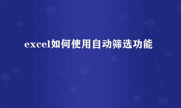 excel如何使用自动筛选功能