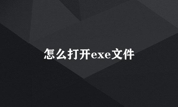 怎么打开exe文件