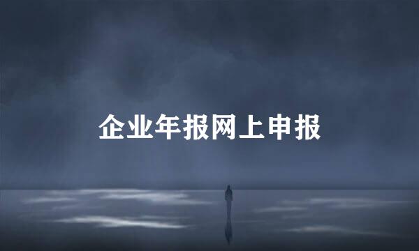 企业年报网上申报