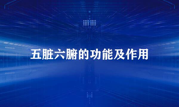 五脏六腑的功能及作用