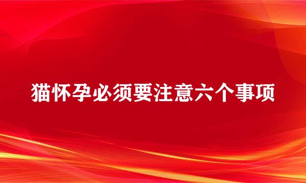 猫怀孕必须要注意六个事项