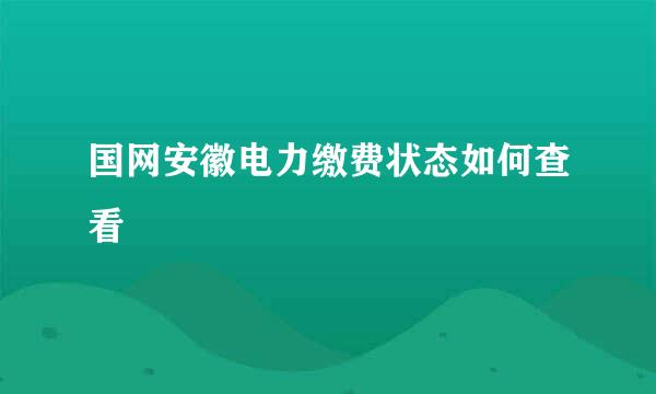 国网安徽电力缴费状态如何查看