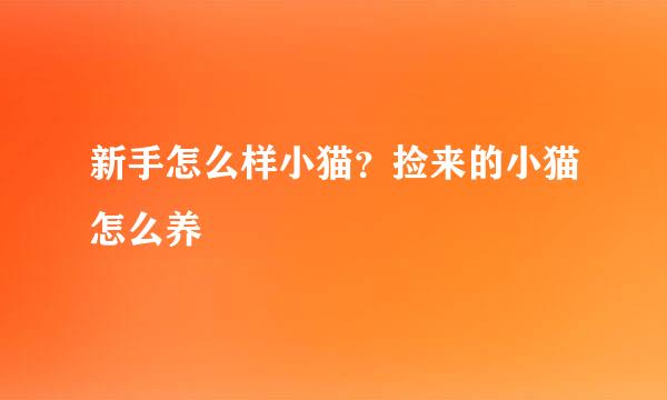 新手怎么样小猫？捡来的小猫怎么养